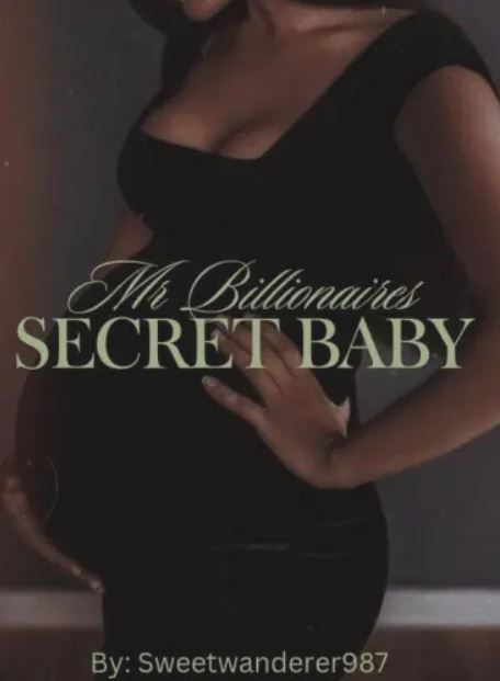 mr-billionaires-secret-baby-novel