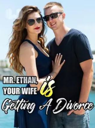mr-ethan-your-wife-is-getting-a-divorce-novel