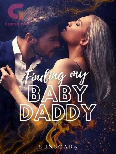 finding my baby daddy novel