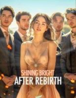 shining bright after rebirth novel